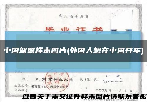 中国驾照样本图片(外国人想在中国开车)缩略图
