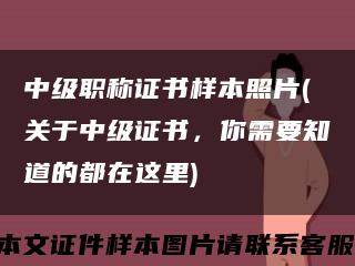 中级职称证书样本照片(关于中级证书，你需要知道的都在这里)缩略图