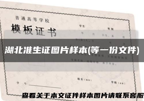 湖北准生证图片样本(等一份文件)缩略图