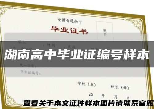 湖南高中毕业证编号样本缩略图