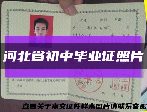 河北省初中毕业证照片缩略图
