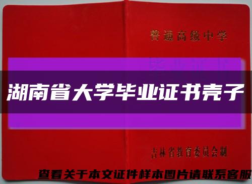 湖南省大学毕业证书壳子缩略图