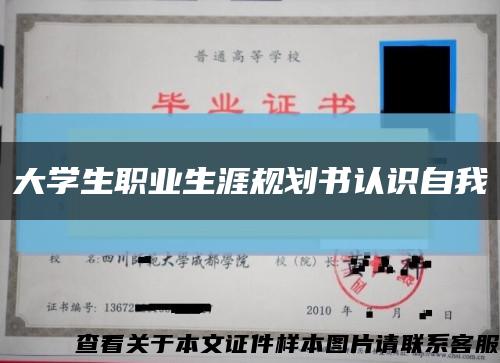 大学生职业生涯规划书认识自我缩略图