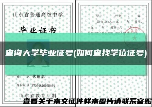 查询大学毕业证号(如何查找学位证号)缩略图