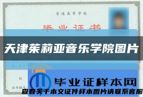 天津茱莉亚音乐学院图片缩略图