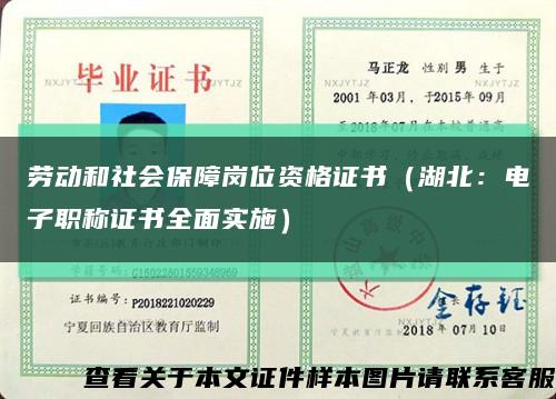 劳动和社会保障岗位资格证书（湖北：电子职称证书全面实施）缩略图