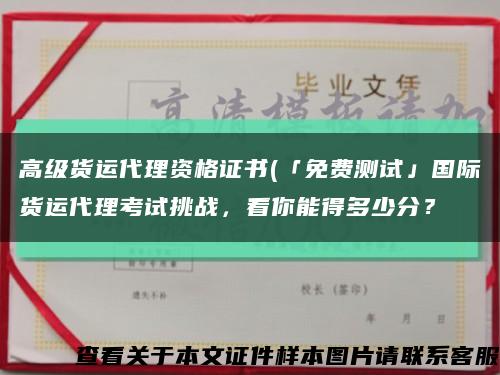 高级货运代理资格证书(「免费测试」国际货运代理考试挑战，看你能得多少分？缩略图