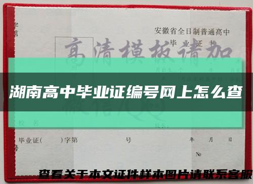 湖南高中毕业证编号网上怎么查缩略图