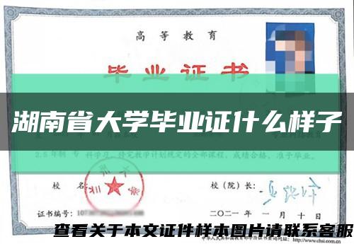 湖南省大学毕业证什么样子缩略图