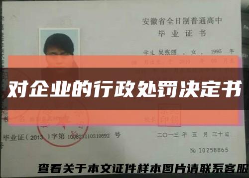 对企业的行政处罚决定书缩略图
