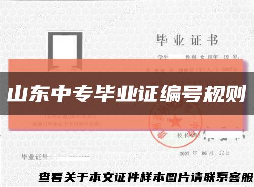 山东中专毕业证编号规则缩略图