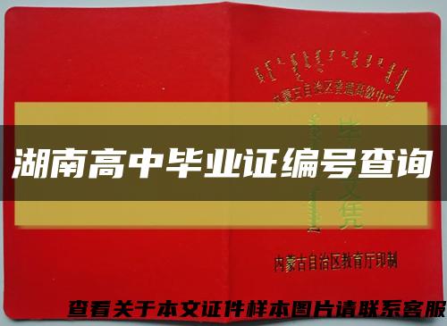 湖南高中毕业证编号查询缩略图
