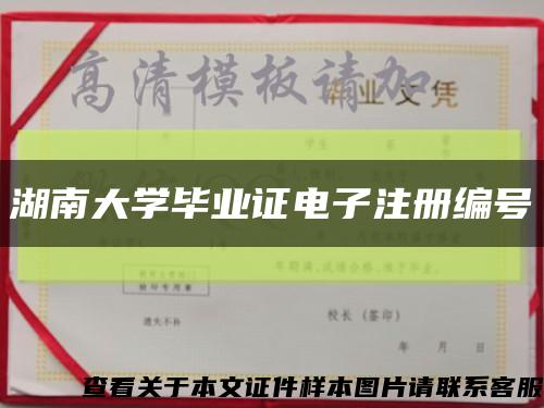 湖南大学毕业证电子注册编号缩略图