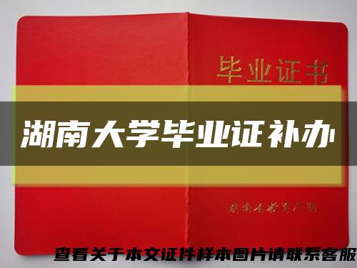 湖南大学毕业证补办缩略图