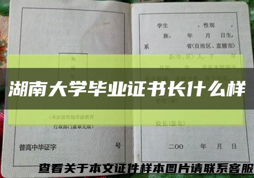 湖南大学毕业证书长什么样缩略图