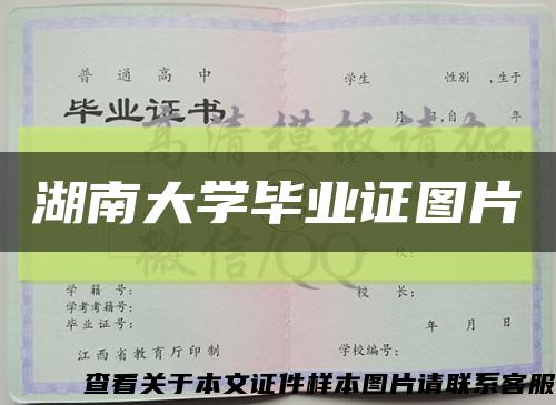 湖南大学毕业证图片缩略图