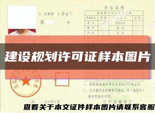 建设规划许可证样本图片缩略图