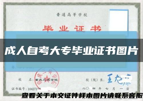 成人自考大专毕业证书图片缩略图