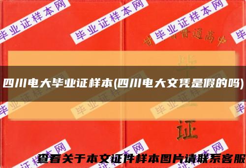 四川电大毕业证样本(四川电大文凭是假的吗)缩略图