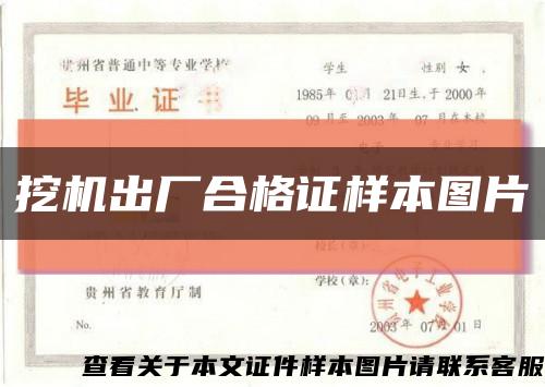 挖机出厂合格证样本图片缩略图