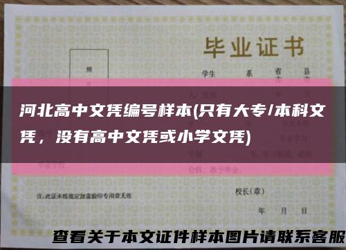 河北高中文凭编号样本(只有大专/本科文凭，没有高中文凭或小学文凭)缩略图