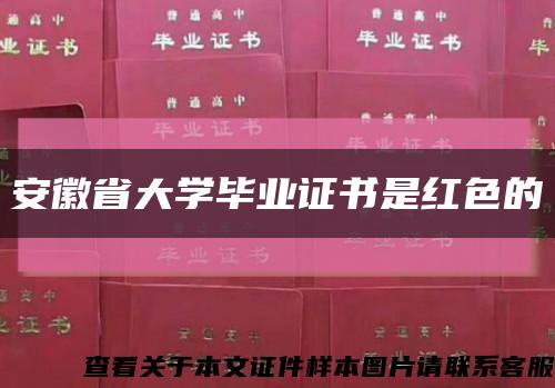 安徽省大学毕业证书是红色的缩略图