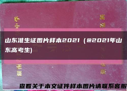 山东准生证图片样本2021（@2021年山东高考生)缩略图