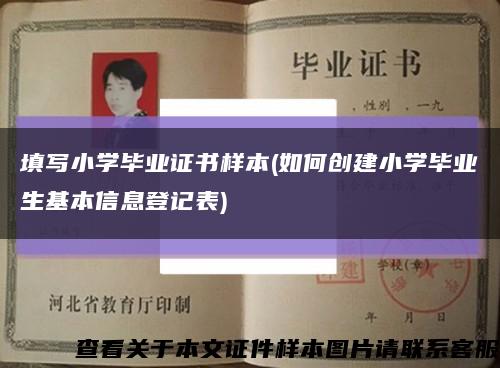 填写小学毕业证书样本(如何创建小学毕业生基本信息登记表)缩略图