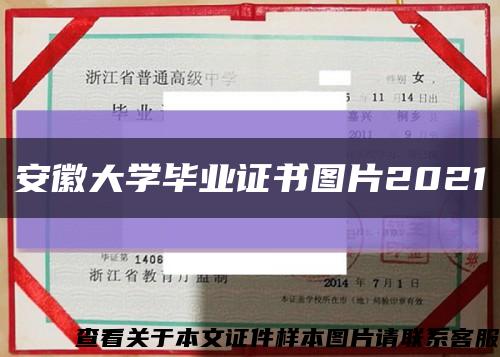 安徽大学毕业证书图片2021缩略图