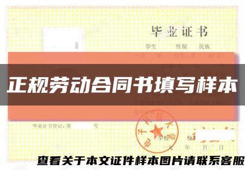 正规劳动合同书填写样本缩略图