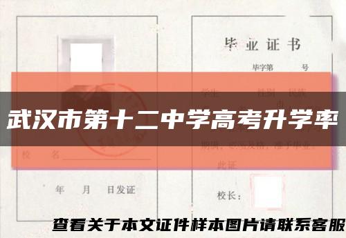 武汉市第十二中学高考升学率缩略图