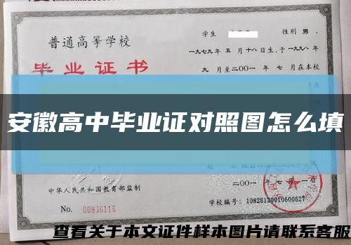 安徽高中毕业证对照图怎么填缩略图