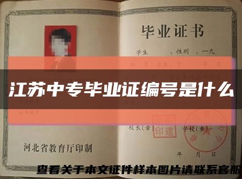 江苏中专毕业证编号是什么缩略图