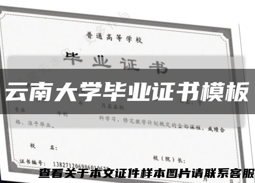 云南大学毕业证书模板缩略图