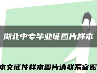 湖北中专毕业证图片样本缩略图