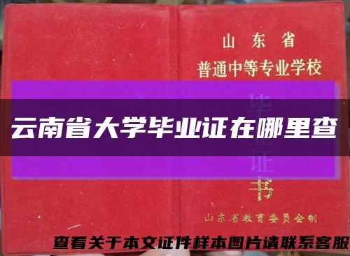 云南省大学毕业证在哪里查缩略图