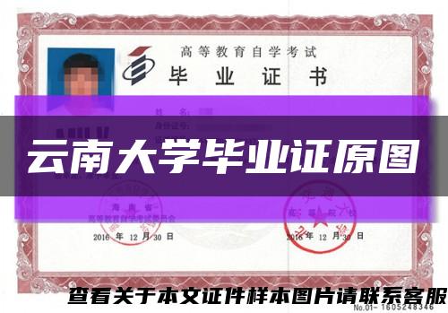 云南大学毕业证原图缩略图