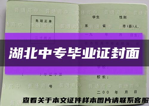 湖北中专毕业证封面缩略图