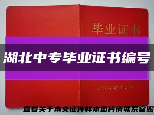 湖北中专毕业证书编号缩略图