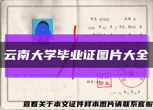 云南大学毕业证图片大全缩略图