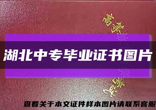 湖北中专毕业证书图片缩略图