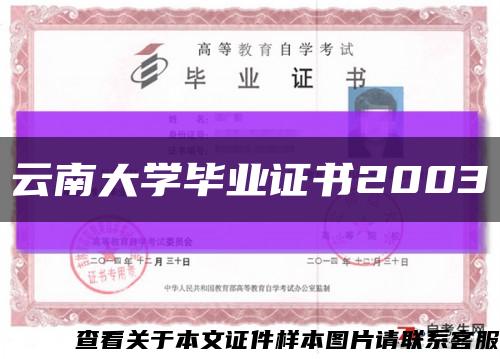 云南大学毕业证书2003缩略图
