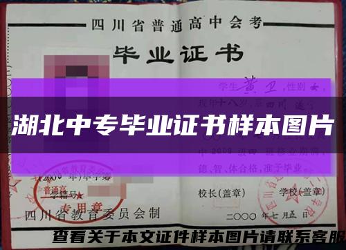 湖北中专毕业证书样本图片缩略图