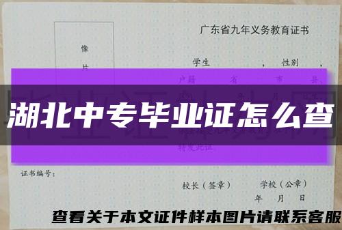 湖北中专毕业证怎么查缩略图