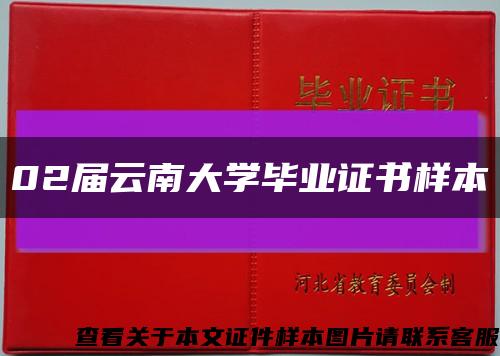 02届云南大学毕业证书样本缩略图