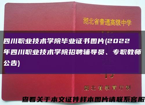 四川职业技术学院毕业证书图片(2022年四川职业技术学院招聘辅导员、专职教师公告)缩略图