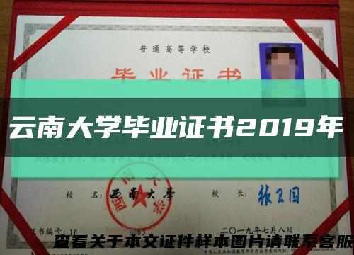 云南大学毕业证书2019年缩略图