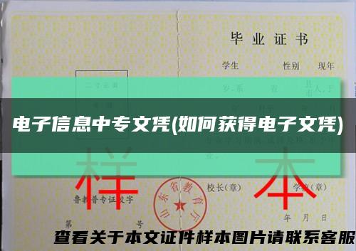 电子信息中专文凭(如何获得电子文凭)缩略图