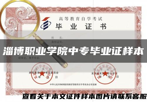 淄博职业学院中专毕业证样本缩略图