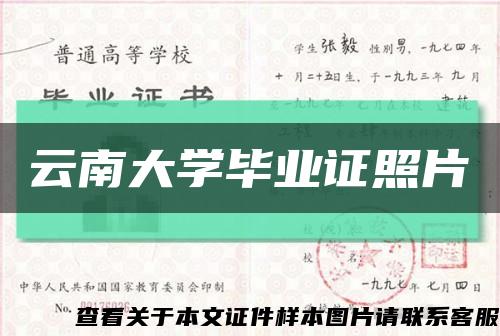 云南大学毕业证照片缩略图